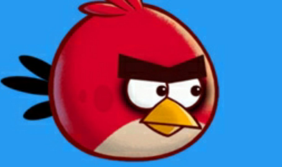 angry bird