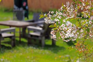 terrasse convivial